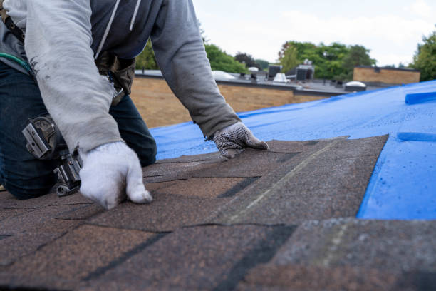Best Storm Damage Roof Repair  in Macungie, PA